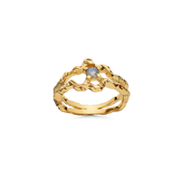 Shelly Ring