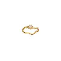 Lisa Ring