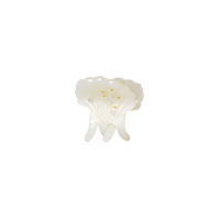 Pasha Hårklemme Shell